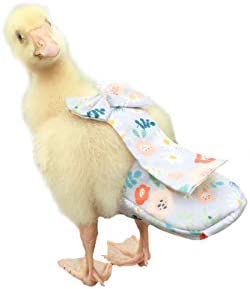 Duck Diapers, Chicken Diapers, Special Diapers for Poultry, Chicken, Duck and Goose Waterproof, Adjustable, Washable and Reusable Diapers，Poultry Supplies, Duck Supplies (S：100克-200克)