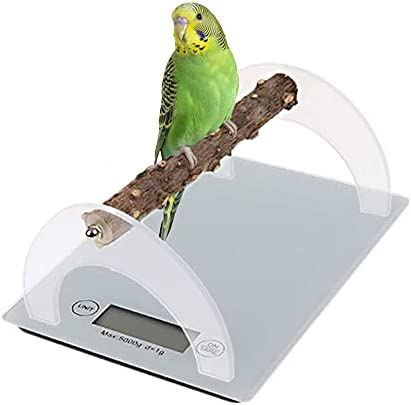 Parrot Training Weight Scale, Accurate Bird Measure Accessories with Perch for Macaw Cockatiel, Range 1G – 5000G
