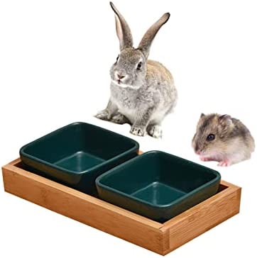 Hamster Bowl Guinea Pig Ceramic Water Bowl Hamster Food Dish Small Animal Bowl Prevent Knocking Over for Dwarf Hamster Syrian Hamster Rabbit Gerbil Chinchilla Hedgehog (2 Pcs)