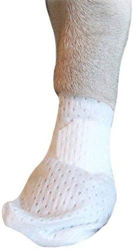 PawFlex Medimitt Paw Bandages for Dogs, Cats and Pets Medical Booties, First aid for Paws Non Slip, Non Adhesive, Breathable,Disposable, Washable, 12 Pack (Large)
