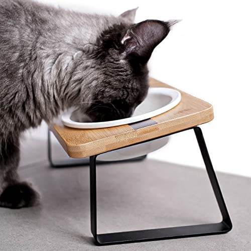 Elevated Cat Ceramic Bowls Stand for Food and Water, Small Dog, Anti Vomit, Indoor, Tilted Feeding Position, Full Bamboo Body Stand with Food Grade, Whisker Friendly Dish for Cats and Puppy