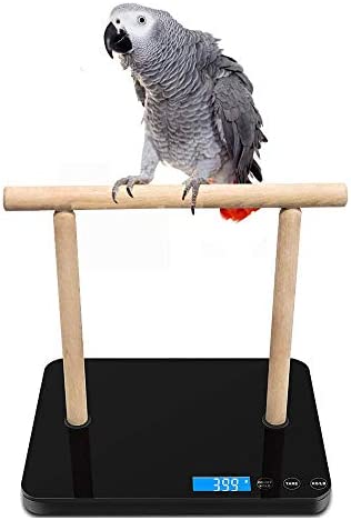 Digital Pet Bird Scale, Parrot Training Weight Scale with Perch, 0.05 Ounce Accuracy,70 Ounce Capacity, Easy Clean Black Glass Platform Suitable for Parrot and Macaws