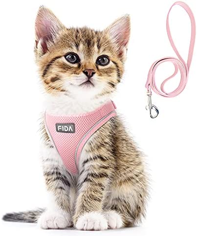 Fida Cat Harness and Leash Set for Walking Kitten and Puppy, Escape Proof Kitten Harness with Breathable Lightweight Soft Mesh, Adjustable Reflective Step-in Design for Kitten and Puppy.(XXXS, Pink)