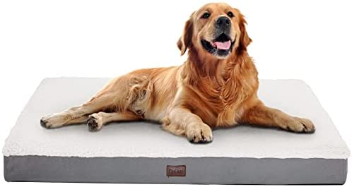OhGeni Orthopedic Dog Bed for Large Dogs with Plush Egg Foam Support, Waterproof and Machine Washable Removable Bed Cover, Softer Than Memory Foam for Calming and Relaxing Sleep