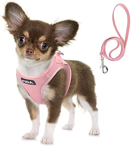 Fida Comfy Dog Harness with Leash, Soft Puppy Vest Escape Proof, Breathable Lightweight Soft Mesh, Adjustable Reflective Step-in Harness for Small Pet Walking (S, Pink)