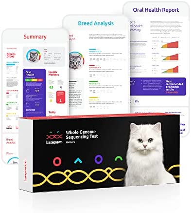 Basepaws Whole Genome Sequencing Test | Your Cat’s Complete Genetic Information | Breed + Health Report & Oral Health Report | Free Lifetime Updates