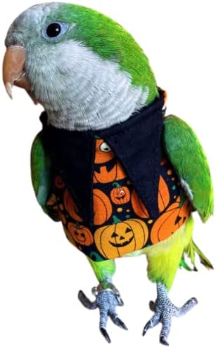 Bird Clothes – Handmade Cotton Halloween Sweater Shirt with Pumpkin Pattern Flight Suit for Parrot African Greys Parakeet Cockatiel Sun Conure Birthday Gift Parrot Cosplay Apparel Bird Supplies (5XL)