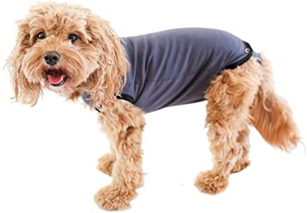 BellyGuard – After Surgery Dog Recovery Onesie, Post Spay, Neuter, Body Suit for Male and Female Dogs, Comfortable Cone Alternative for Large and Small Dogs, Soft Cotton Covers Wound, Stitches, Medium