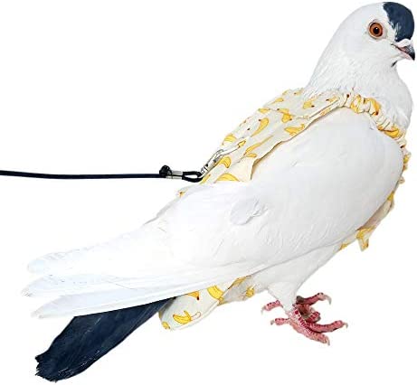 YUYUSO Pigeon Dove Diaper Pants with Leash for Pigeon Dove