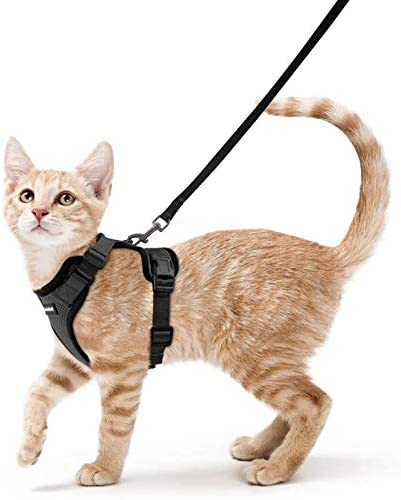 rabbitgoo Cat Harness and Leash for Walking, Escape Proof Soft Adjustable Vest Harnesses for Cats, Easy Control Breathable Reflective Strips Jacket, Black, XS