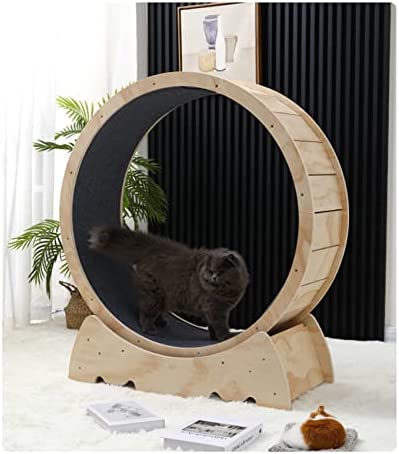 LCTTLLY Cat Exercise Wheel – Running, Spinning, and Scratching Fun, Cat Treadmill with Carpeted Runway, Kitty Cat Sport Toy, Great for Physical Activity and Reducing Boredom