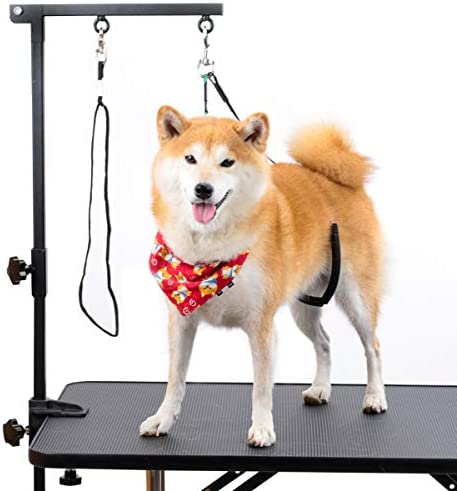 Breeze Touch Dog Grooming Table Arm – 35″ Dog Grooming Stand Arm with Clamp and Post, Loop Noose, No Sit Haunch Holder Grooming Restraint for Small & Medium Dogs