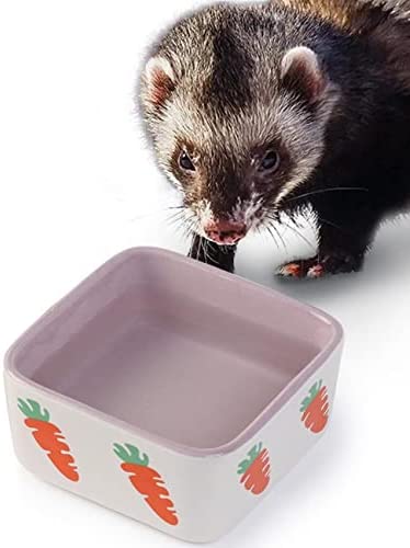JanYoo Ferret Accessories Food Bowl Water Feeding Bowls for Cage Small Animal Feeding & Watering Supplies for Glass Tank Purple (Pack of 1)