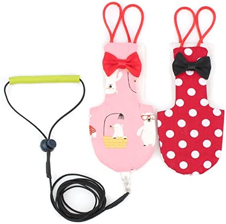 Alfie Pet – Fay 2-Piece Set Bird Diaper with Leash – Color: Pink & Red, Size: XS