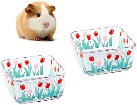 Hamster Food Bowl Small Animals Glass Food Water Bowl Prevent Tipping Moving Guinea Pig Food Dish for Guinea Pigs Gerbil Mouse Rat Chinchilla Hedgehog Sugar Glider 2Pcs (Tulip)