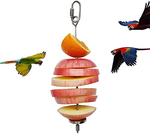 Bird Food Holder, Bird Feeder Toy, Foraging Toy, Bird Food Treat Skewer, Stainless Steel Parrot Fruit Vegetable Stick Holder (S)