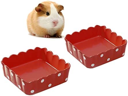 Hamster Food Bowl Ceramic Guinea Pig Water Bowl Small Animal Food Dish Prevent Tipping Moving and Chewing for Syrian Hamster Rabbit Gerbil Chinchilla Hedgehog Sugar Glider Rat (2 Pcs) (Red)