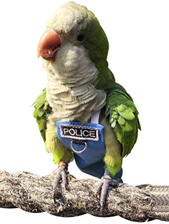Bird Clothes Parrot Diapers Bird Flight Suits, Reusable Waterproof Diapers pet Bird Supplies Poli(L)