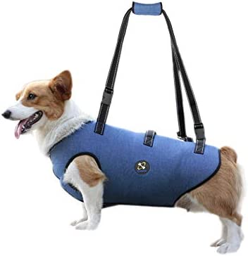 Coodeo Dog Lift Harness, Pet Support & Rehabilitation Sling Lift Adjustable Padded Breathable Straps for Old, Disabled, Joint Injuries, Arthritis, Loss of Stability Dogs Walk (Blue, S)