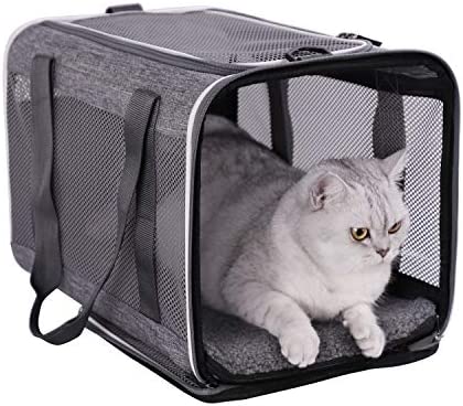 Top Load Pet Carrier for Large and Medium Cats