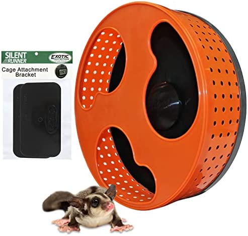 Silent Runner 12″ with Autoclean | Sugar Glider Wheel