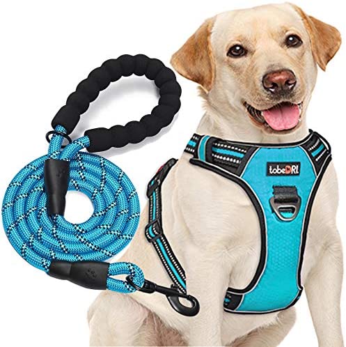 tobeDRI No Pull Dog Harness Adjustable Reflective Oxford Easy Control Medium Large Dog Harness with A Free Heavy Duty 5ft Dog Leash (L (Neck: 18″-25.5″, Chest: 24.5″-33″), Blue Harness+Leash)