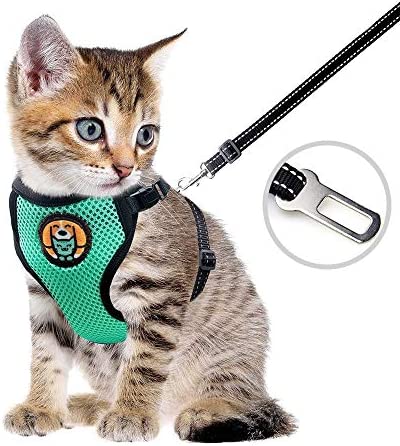 AWOOF Reflective Kitten Harness and Leash Escape Proof with Car Seat Belt, Adjustable Cat Puppy Walking Jacket with Metal Leash Ring, Soft Breathable Small Pet Vest (S)