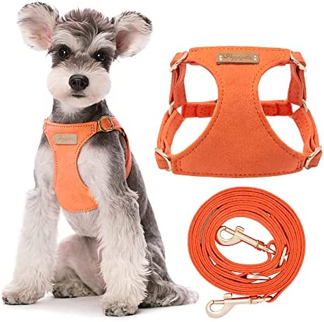 No Pull Dog Harness with Multifunction Dog Leash,Soft Adjustable No Choke Escape Proof Pet Harness Vest for Medium Dogs or Large Dogs,Orange,M