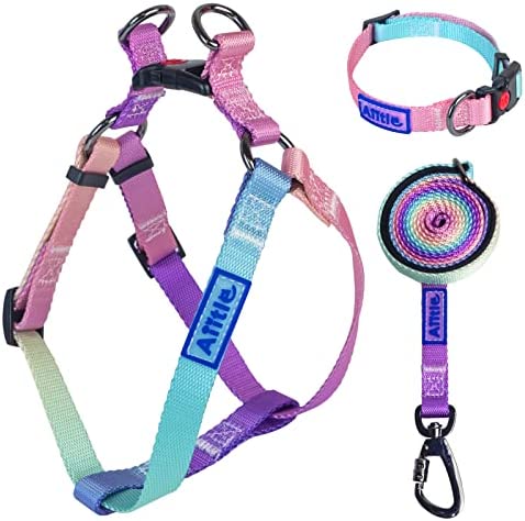 AIITLE Step in Dog Harness Collar Leash Set – Adjustable Heavy Duty No Pull Halter Harness – Buckle with Locking System,Double D Ring – Walking Running for Small Medium Large Dogs,Pink Gradient XS