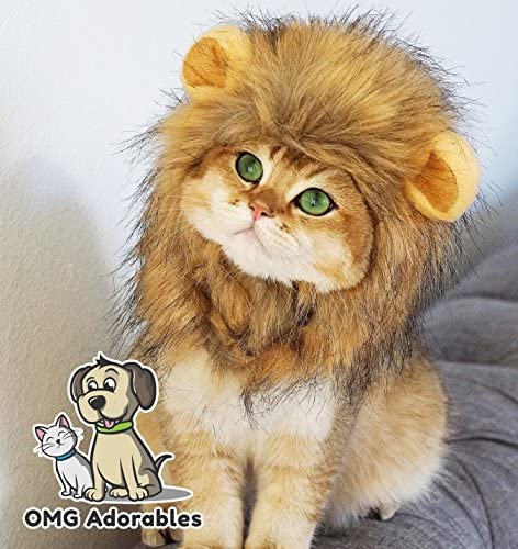 Lion Mane Costume for Cat (Cat) – Halloween Special