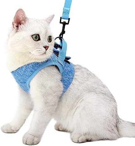 Heywean Cat Harness and Leash – Ultra Light Escape Proof Kitten Collar Cat Walking Jacket with Running Cushioning Soft and Comfortable Suitable for Puppies Rabbits (L, Blue)