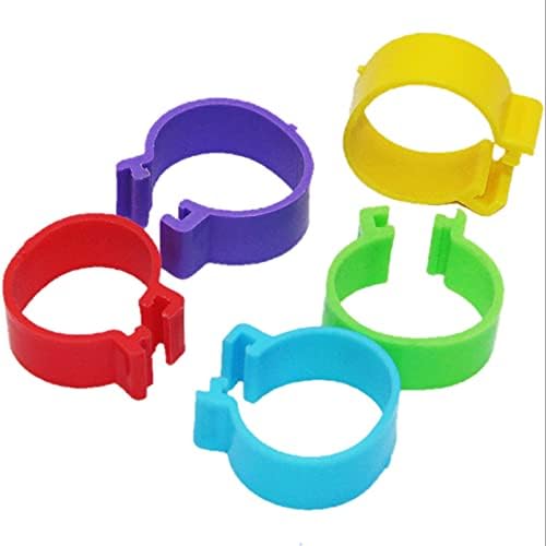QWEQWE 100 Pack Chicken Identification Leg Bands Rings, ， Bird Ring Leg Bands – Plastic Pigeon Foot Bands Clip on Leg Rings for Chicks Pigeons, Parrots, Chickens (Random Color)