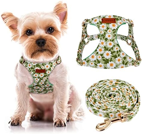 CHEDE No Pull Floral Pattern Dog Harness- Lightweight and Soft Dog Harness, Adjustable Small Dog Harness and Leash Set, with Dog Leash, Suitable for Puppy Small and Medium-Sized Dog (XS, Green Daisy)