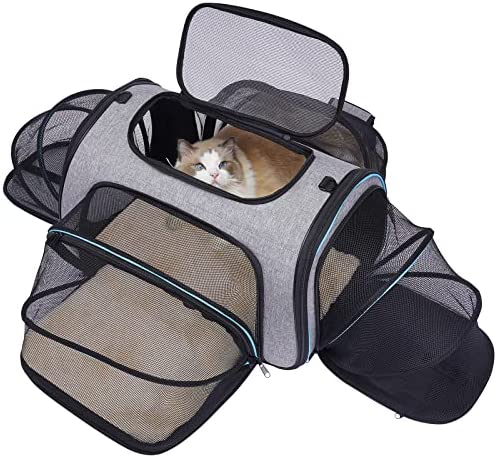 Siivton Airline Approved Pet Carrier, Soft Sided Pet Travel Carrier 4 Sides Expandable Cat Carrier with Fleece Pad for Cats, Puppy and Small Dogs